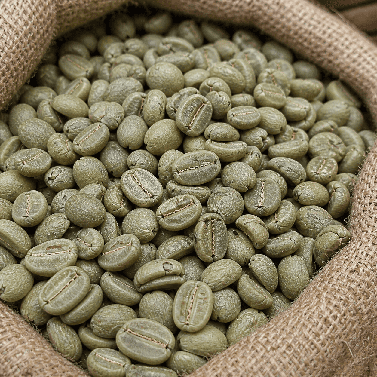 Bean 3