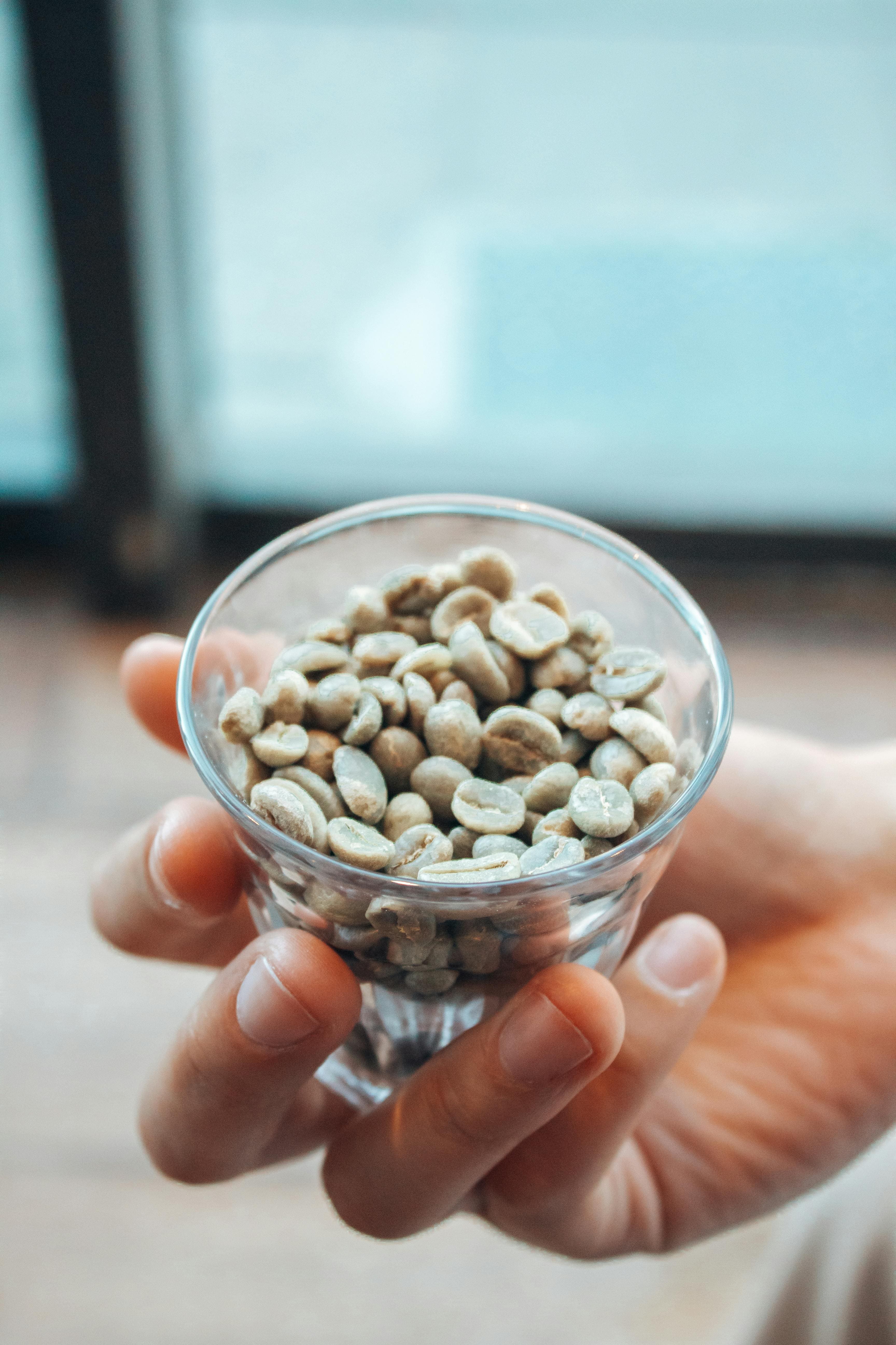 Bean 4