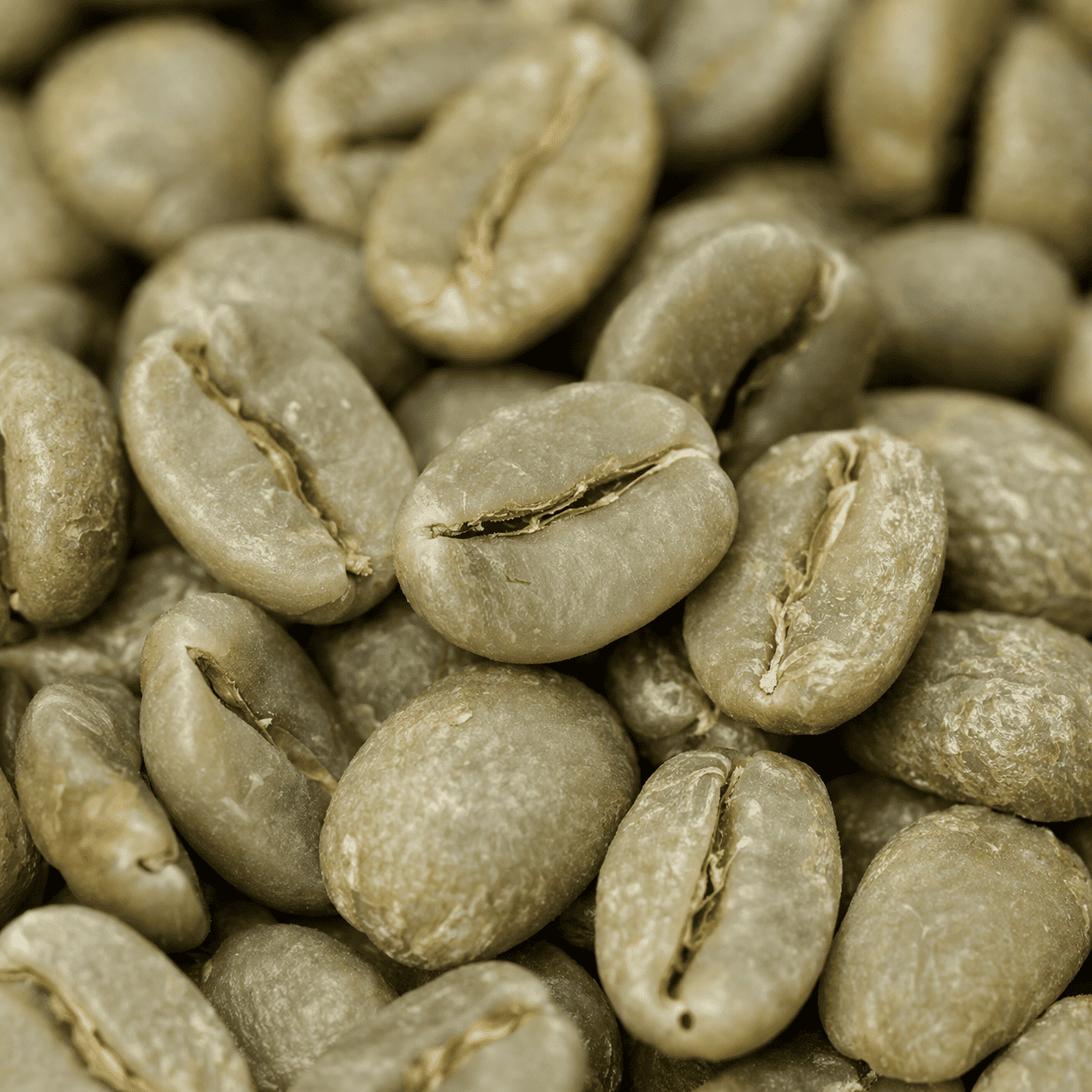 Bean 6