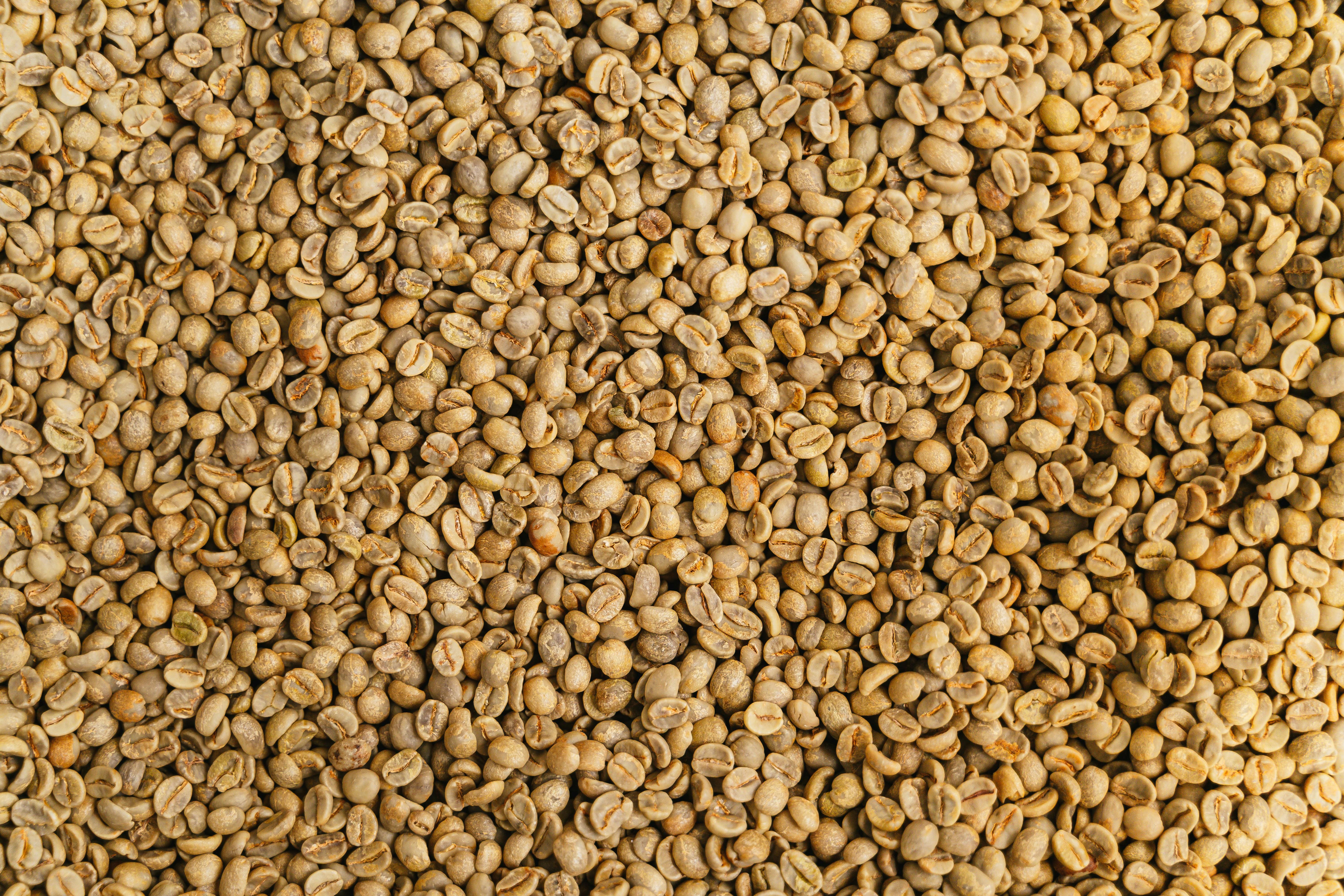 Bean 9